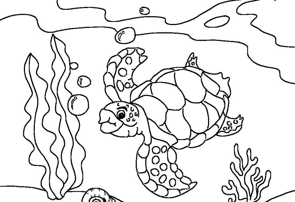 1024x701 Coloring Pages Turtle Free Printable Sea Turtle Coloring Pages