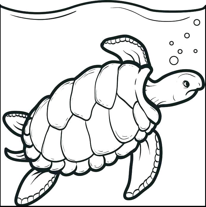 694x700 Cute Turtle Coloring Pages Turtle Color Pages Printable Turtle