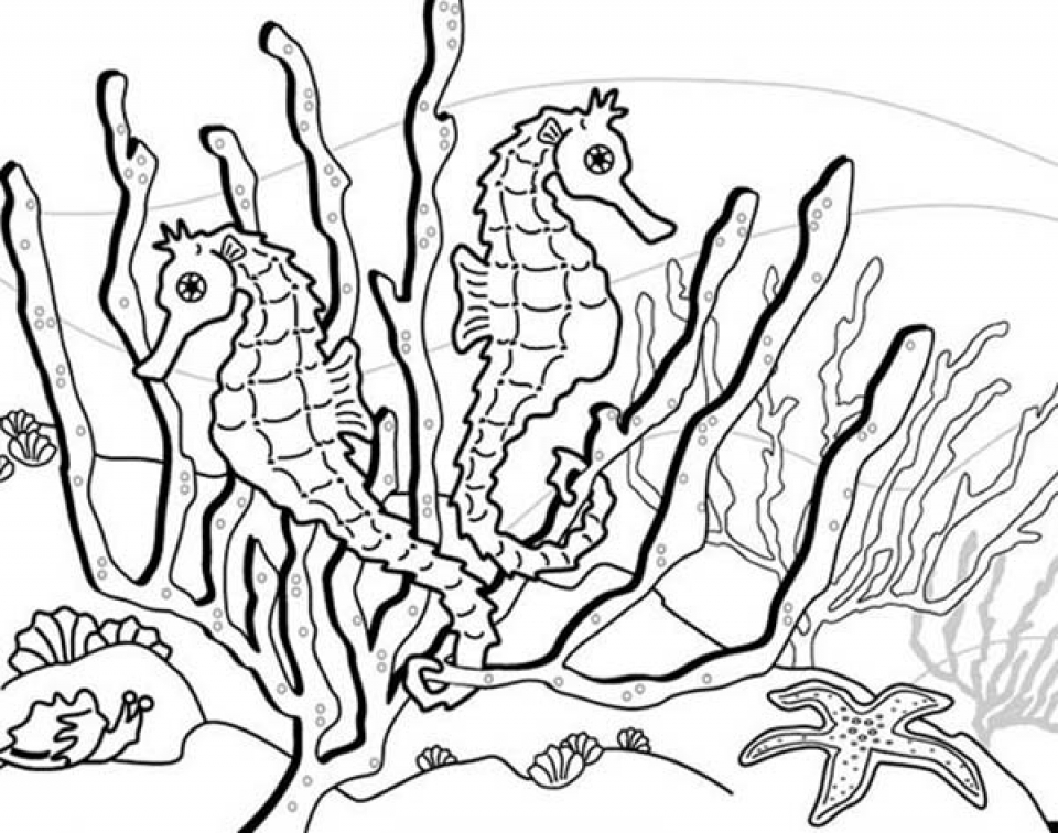 960x756 Get This Printable Seahorse Coloring Pages Online !