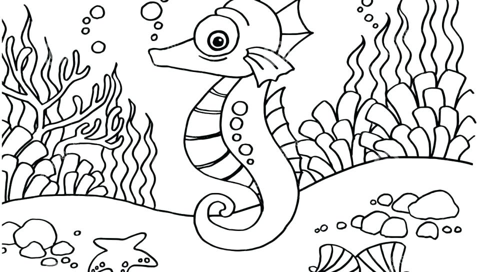 960x544 Seahorse Coloring Page Free Printable Seahorses Pages Animals