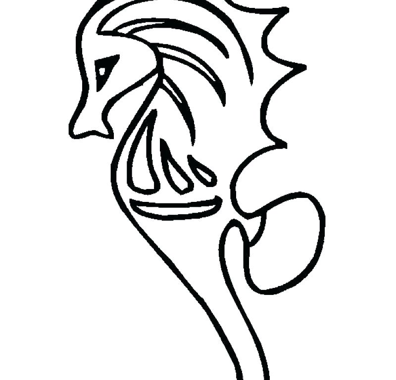 800x768 Seahorse Coloring Page Seahorses Coloring Pages Coloring Page