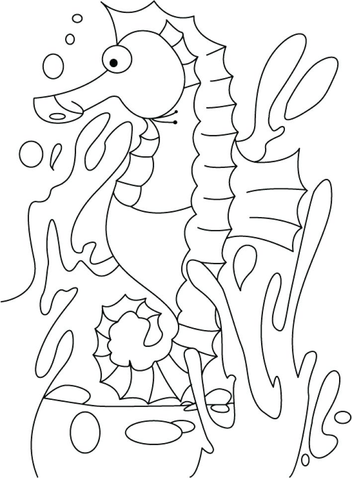 708x960 Seahorse Coloring Pages Seahorse Coloring Pages Free Printable