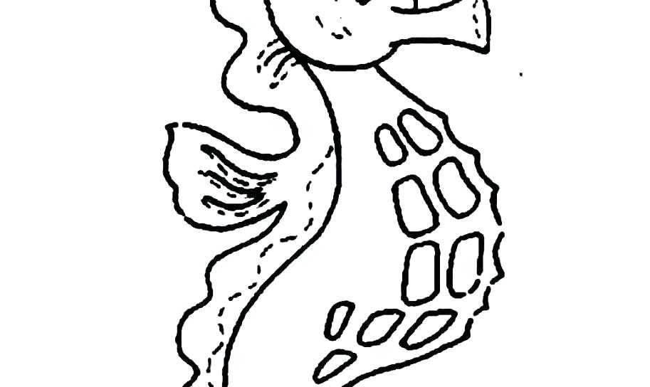 913x544 Seahorses Coloring Pages Seahorse Coloring Page Free Printable