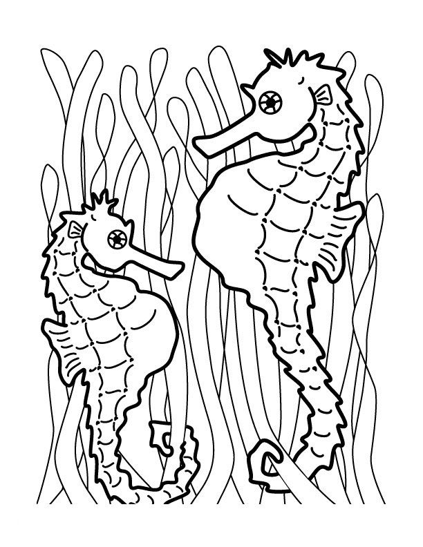 612x792 Free Printable Seahorse Coloring Pages For Kids Seahorses, Eric
