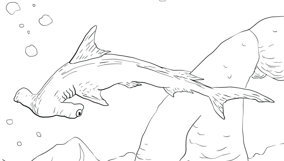 960x544 Free Printable Shark Coloring Page Kids Coloring Free Realistic