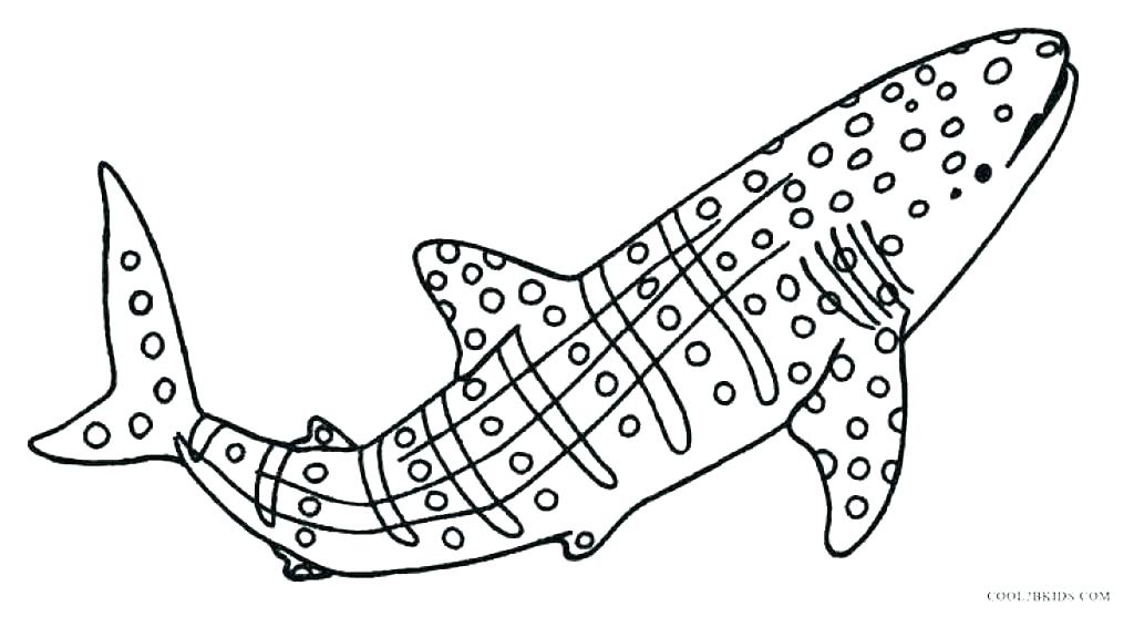1024x557 Color Pages For Free Shark Coloring Pages Free Free Printable