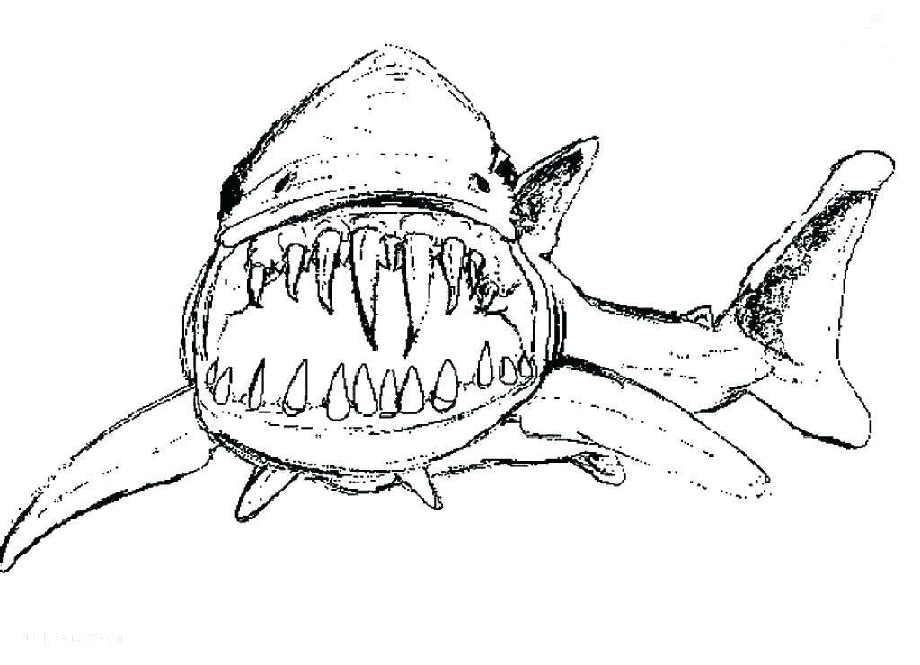 1024x740 Coloring Page Of Shark Fre Spectacular Free Printable Shark