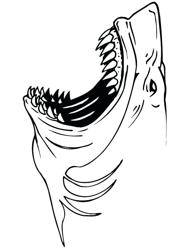 670x867 Sharks Coloring Pages Shark Coloring Sheets Free Printable Shark