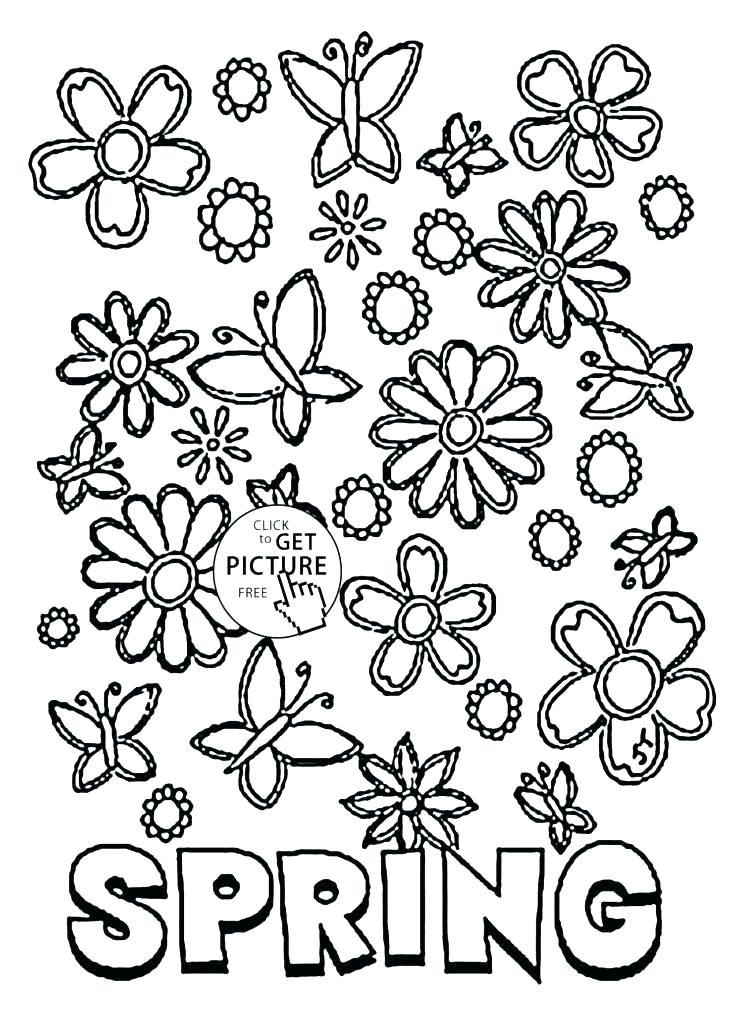 733x1024 Flower Page Printable Coloring Sheets Spring Pages Spring