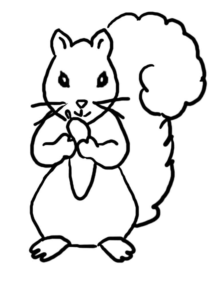 750x1000 Free Printable Squirrel Coloring Pages For Kids