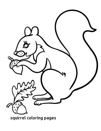 392x507 Printable Squirrel Coloring Page Free Pdf