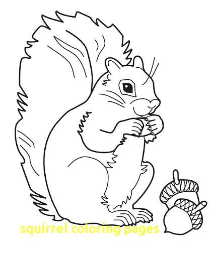 427x512 Squirrel Coloring Page Free Printable Squirrel Coloring Pages Cute