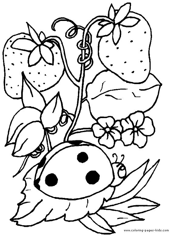 567x784 Best Strawberry Coloring Pages Images