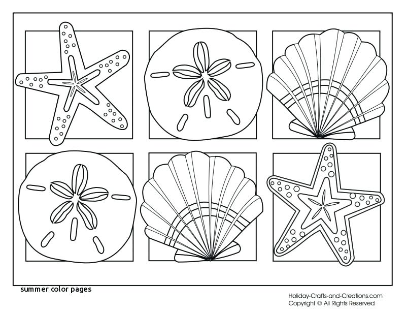 800x618 Printable Beach Coloring Pages Summer Coloring Pages Printable