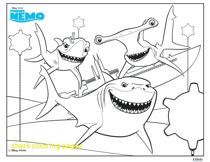 735x567 Shark Coloring Pages With Coloring Shark Fun Free Printable Summer