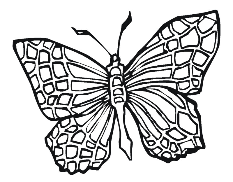 800x624 Tattoo Coloring Pages