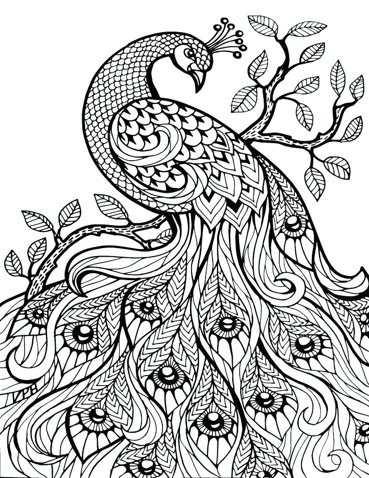 736x952 Printable Coloring Pages For Adults Coloring Book Pages Free Free