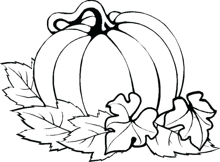 736x544 Thanksgiving Printables Coloring Pages