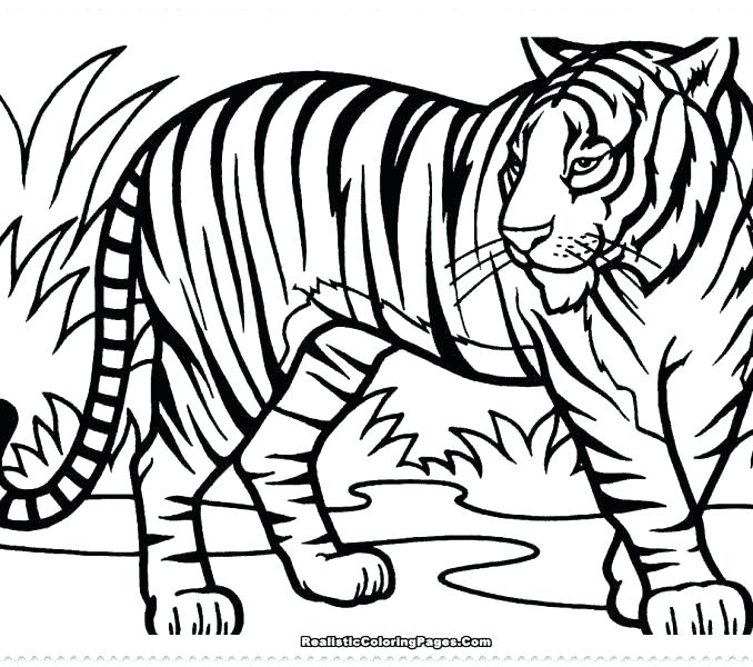 Free Printable Tiger Coloring Pages at GetDrawings | Free download