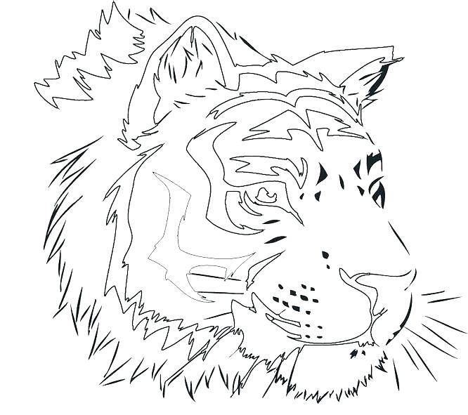 666x591 Printable Tiger Coloring Pages Tigers Coloring Pages Tiger