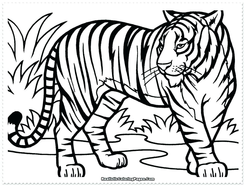 948x720 Coloring Pages Tiger Baby Tiger Coloring Pages Tiger Jumps