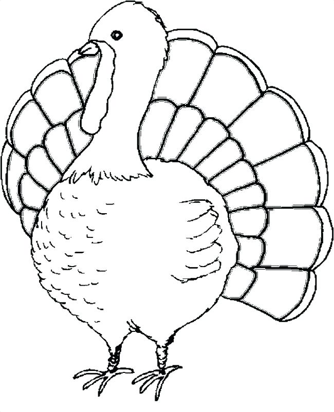 650x802 Free Printable Turkey Coloring Pages For Kids Thanksgiving Turkey