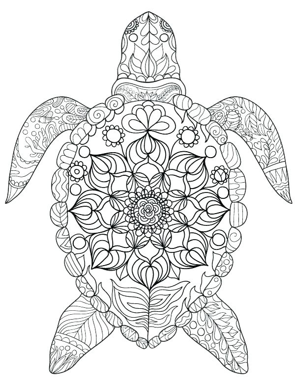 600x776 Free Turtle Coloring Pages Free Coloring Pages Free Ninja Turtle
