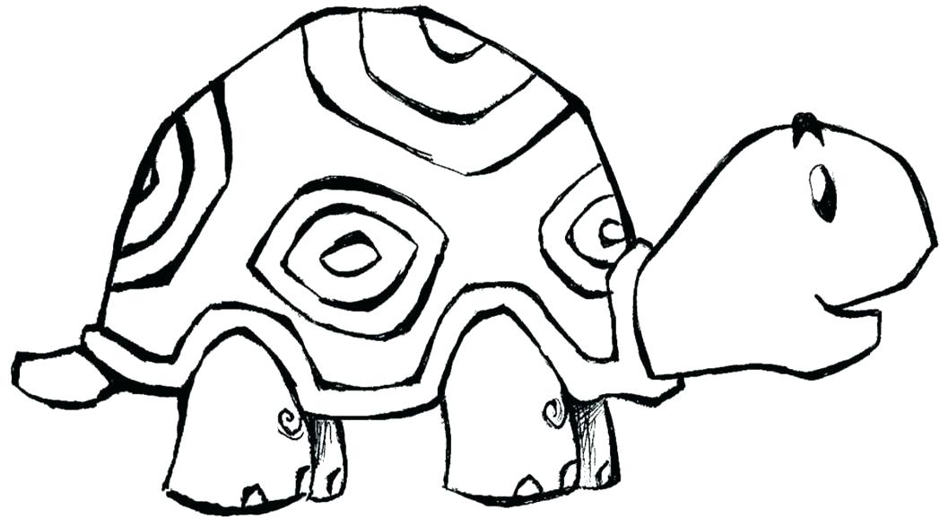 1048x587 Printable Turtle Coloring Pages Free Turtle Coloring Pages Turtle
