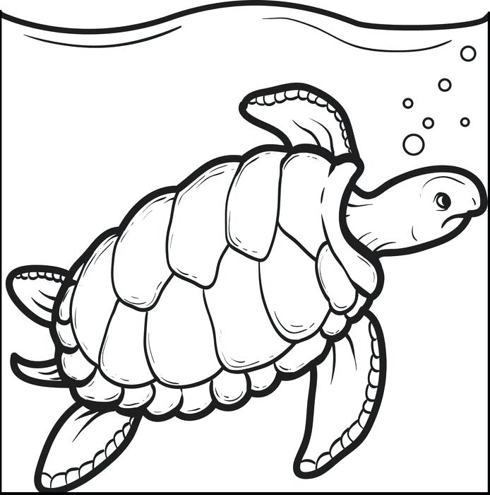 694x700 Printable Turtle Coloring Pages Swimming Turtle Coloring Page Free