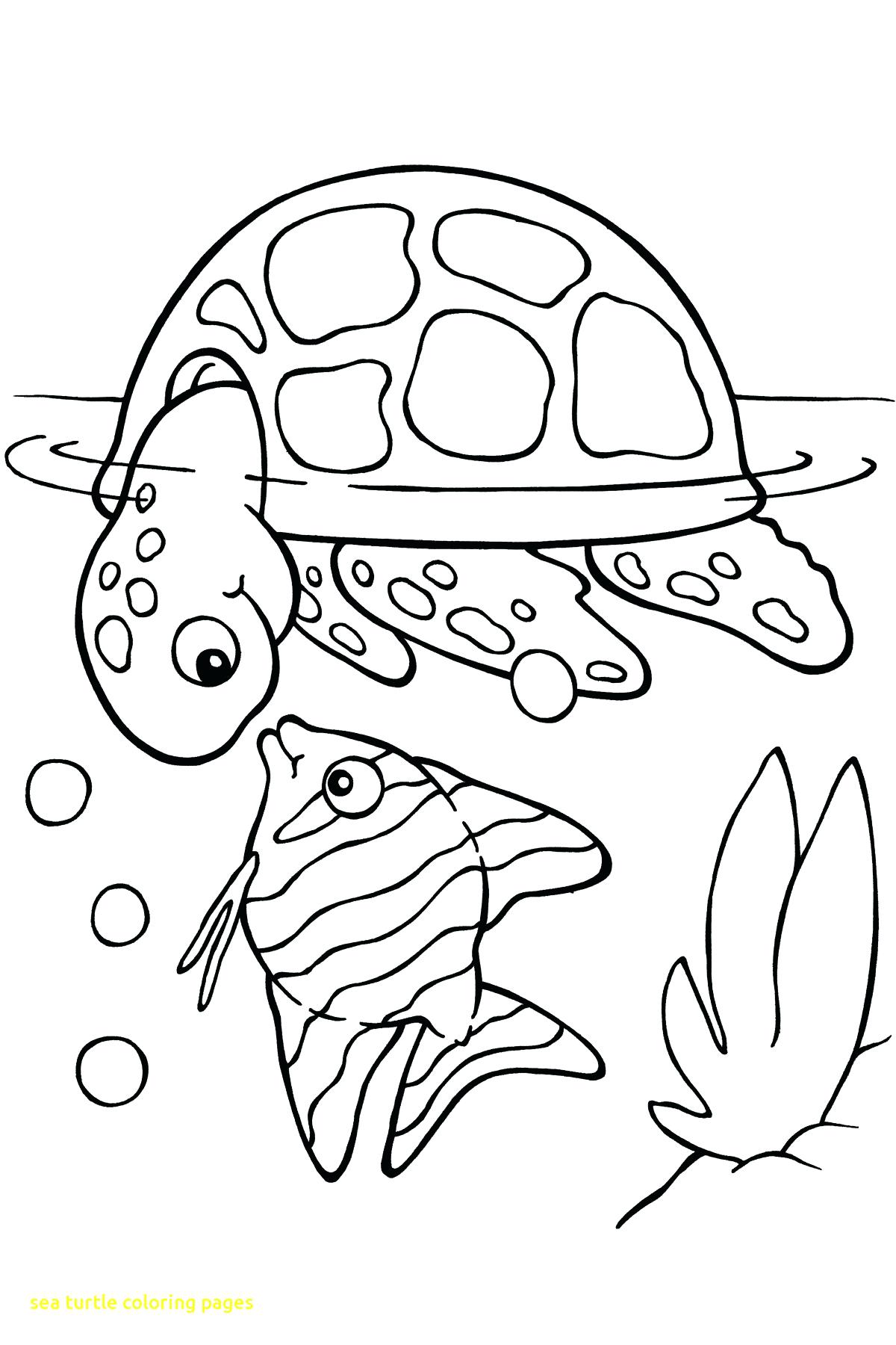 1200x1800 Smartness Inspiration Printable Turtle Coloring Pages Free