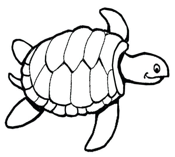 600x539 Turtle Coloring Book Ninja Turtle Coloring Pages Girl Printable