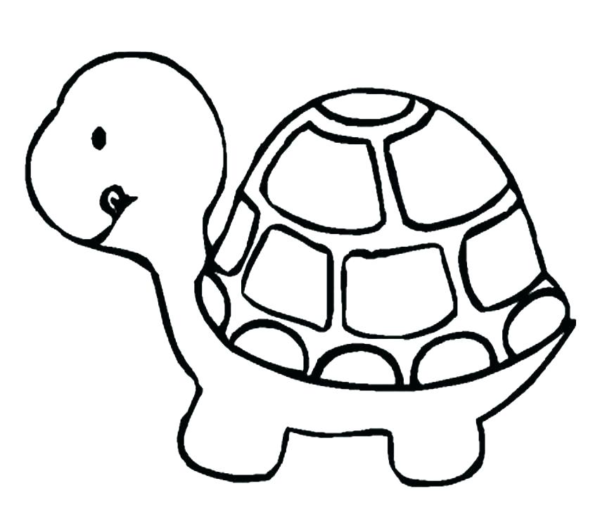 863x731 Wanted Sea Turtle Pictures To Color Turtles Coloring Pages