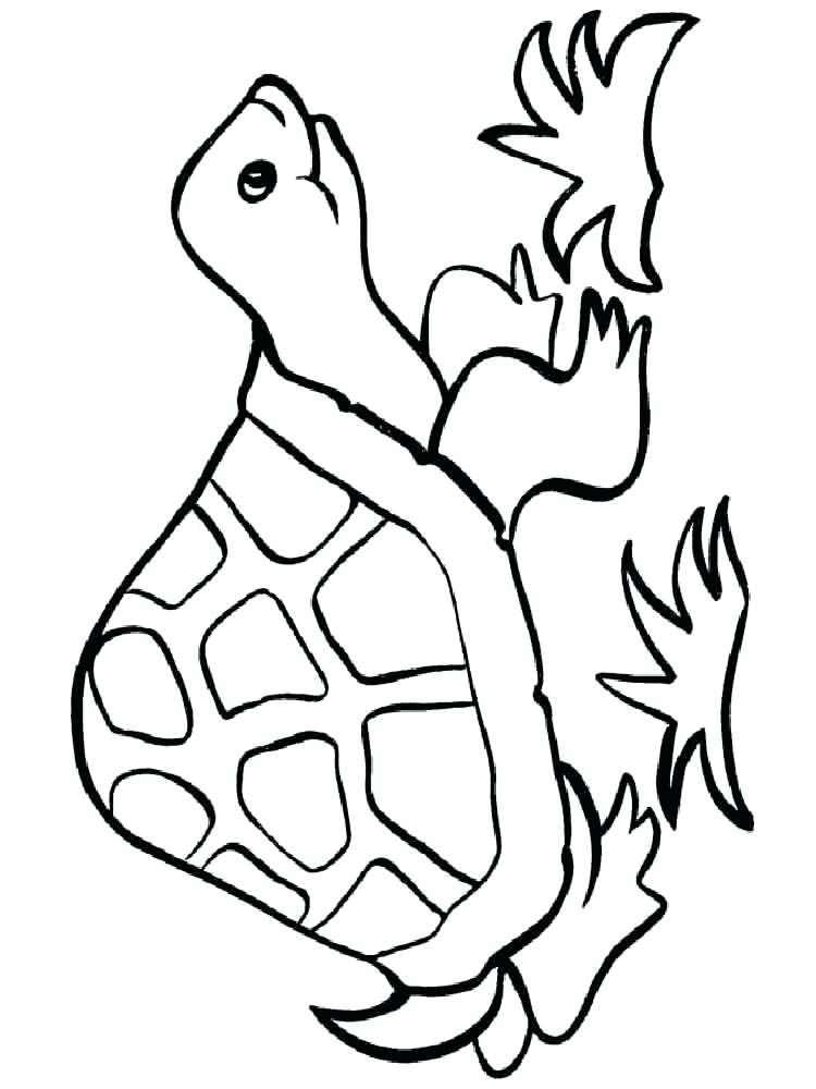 750x1000 Free Printable Turtle Coloring Pages For Kids Turtle Coloring