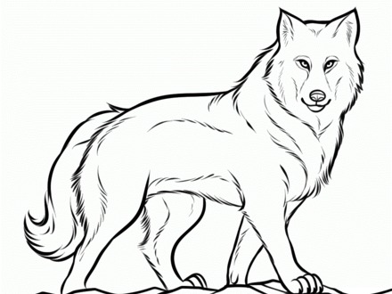 Free Printable Wolf Coloring Pages