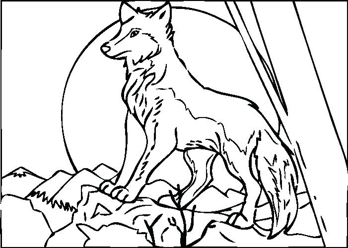 701x500 Miracle Wolf Coloring Pictures Free Printable Pages For Kids