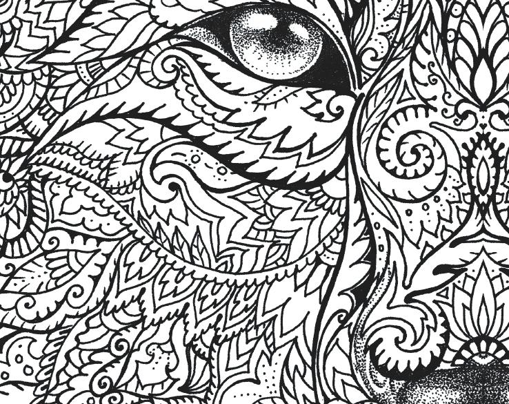 738x585 Wolf Coloring Book Together With Animal Coloring Pages Peter