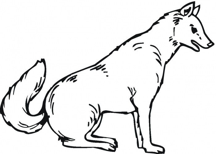 700x502 Wolves Coloring Pages Bebo Pandco