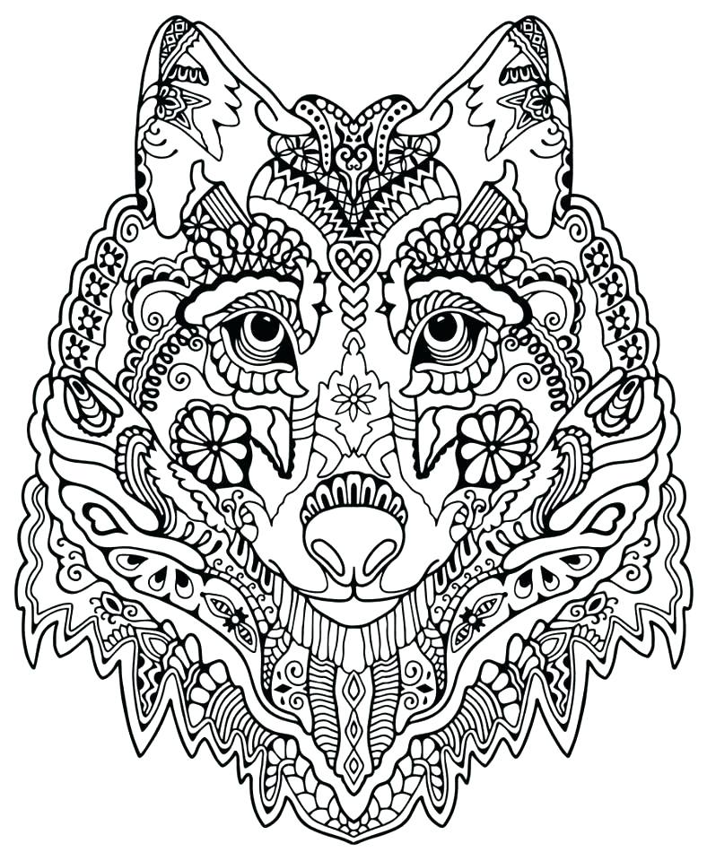 788x960 Tree Coloring Pages Adults Zentangle Coloring Pages Cupcake