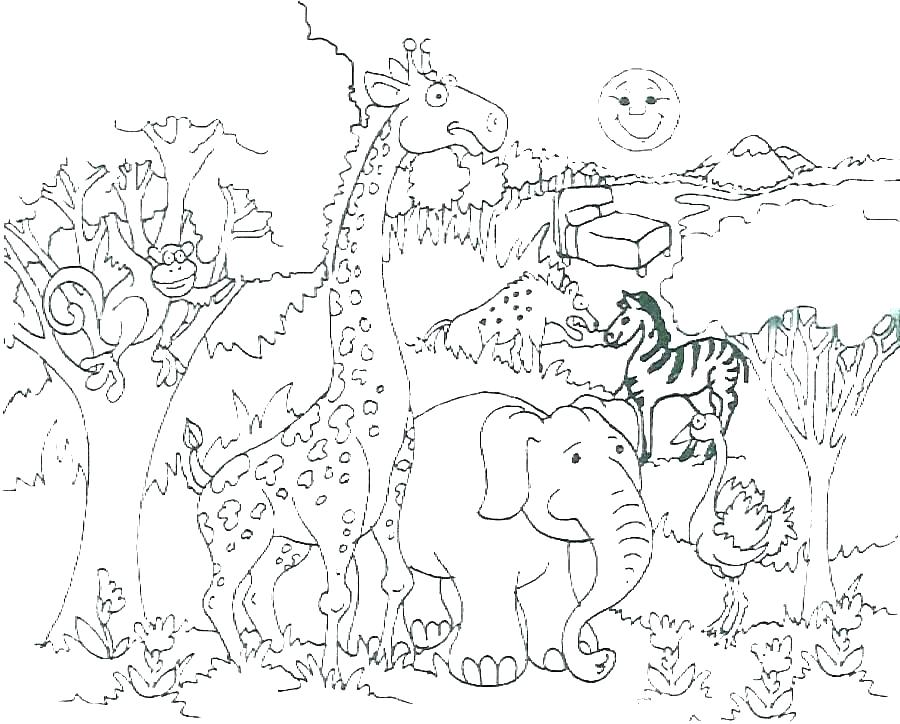 900x724 Zoo Animals Coloring Pages Baby Animals Coloring Pages Energy Cute