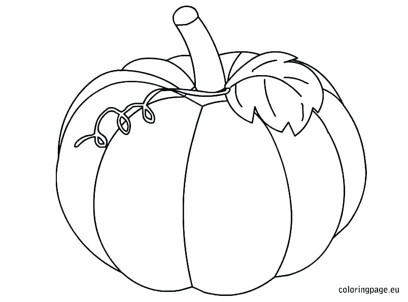 804x595 Printable Pumpkin Coloring Pages Icontent