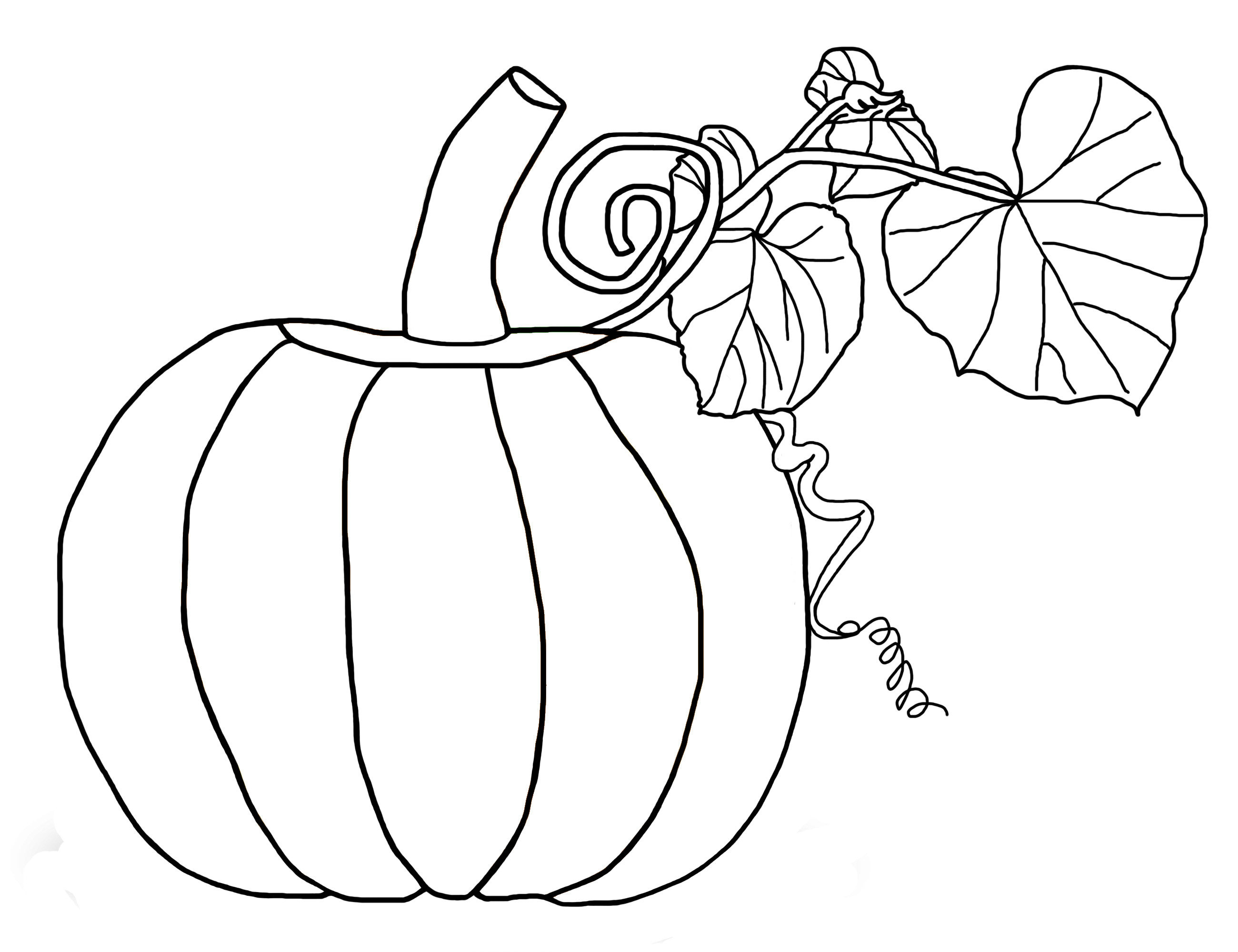 2600x2000 Free Printable Pumpkin Coloring Pages For Kids Lively Acpra