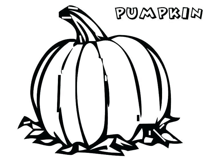 736x568 Coloring Pages Of Pumpkins Coloring Pages Coloring Pages Pumpkin