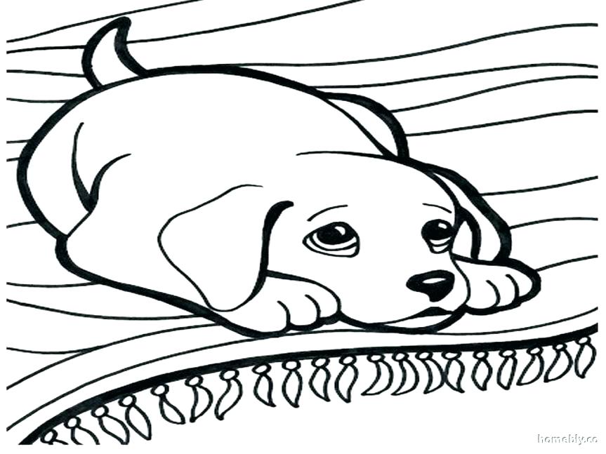 863x647 Puppy Coloring Pages To Print Simple Pages To Print And Color Free