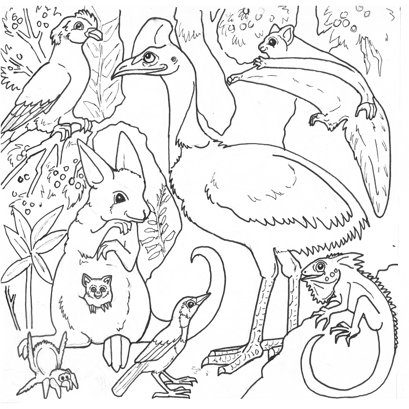 800x800 Free Rainforest Coloring Pages