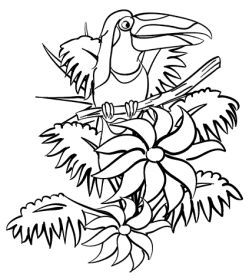 249x280 Free Rainforest Coloring Pages Rainforest Coloring Sheets, Free