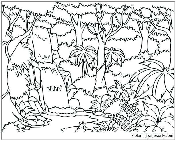 613x492 Rain Forest Coloring Pages Forest Coloring Page Forest Coloring