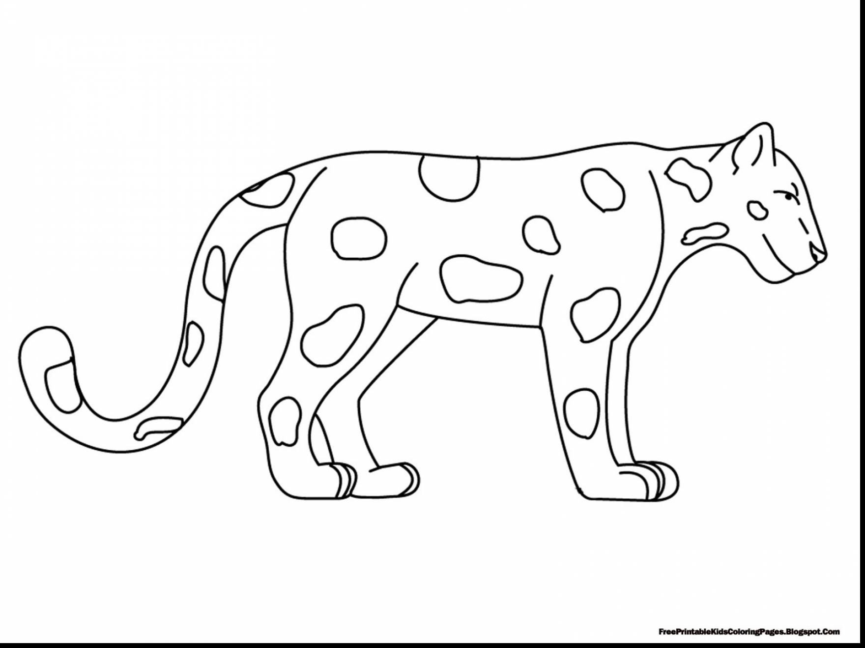 1760x1320 Rainforest Animals Coloring Pages Resume