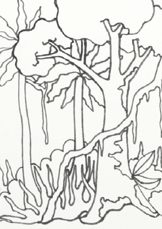 520x735 Rainforest Coloring Pages Unique Free Rainforest Coloring Pages