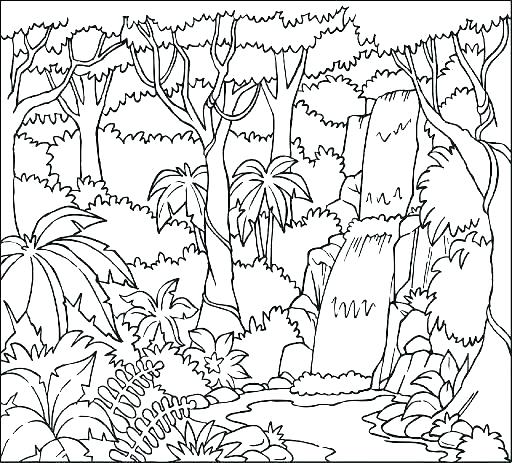 512x463 Coloring Page Rainforest Coloring Pages Pdf