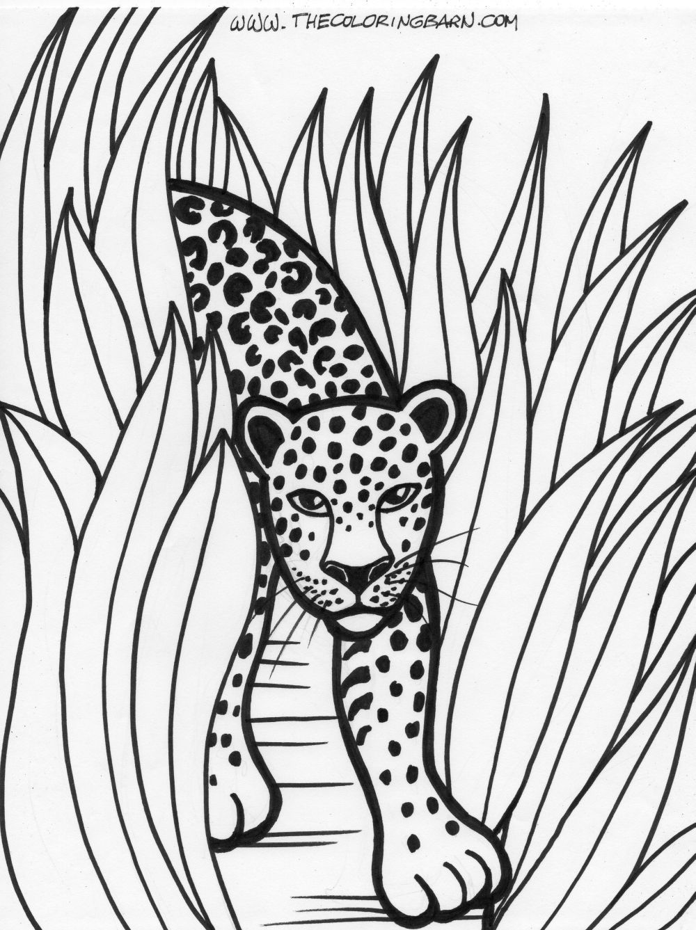 1000x1337 Rainforest Printable Coloring Pages The Coloring Barn Printable